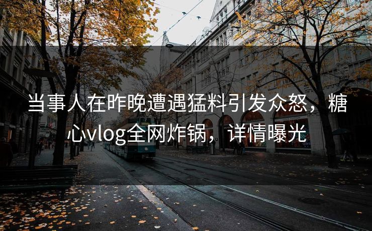 当事人在昨晚遭遇猛料引发众怒,糖心vlog全网炸锅,详情曝光