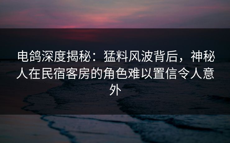 电鸽深度揭秘：猛料风波背后，神秘人在民宿客房的角色难以置信令人意外