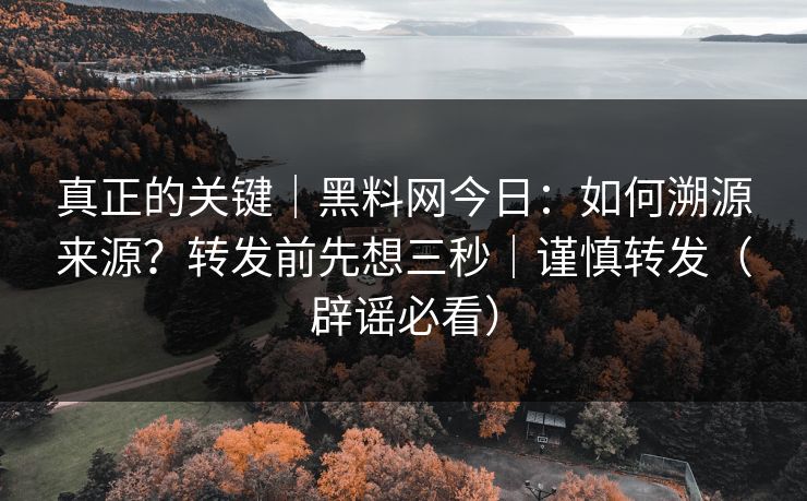 真正的关键｜黑料网今日：如何溯源来源？转发前先想三秒｜谨慎转发（辟谣必看）