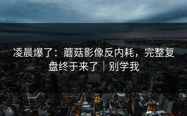 凌晨爆了：蘑菇影像反内耗，完整复盘终于来了｜别学我